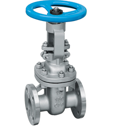 Stainless steel gate valve